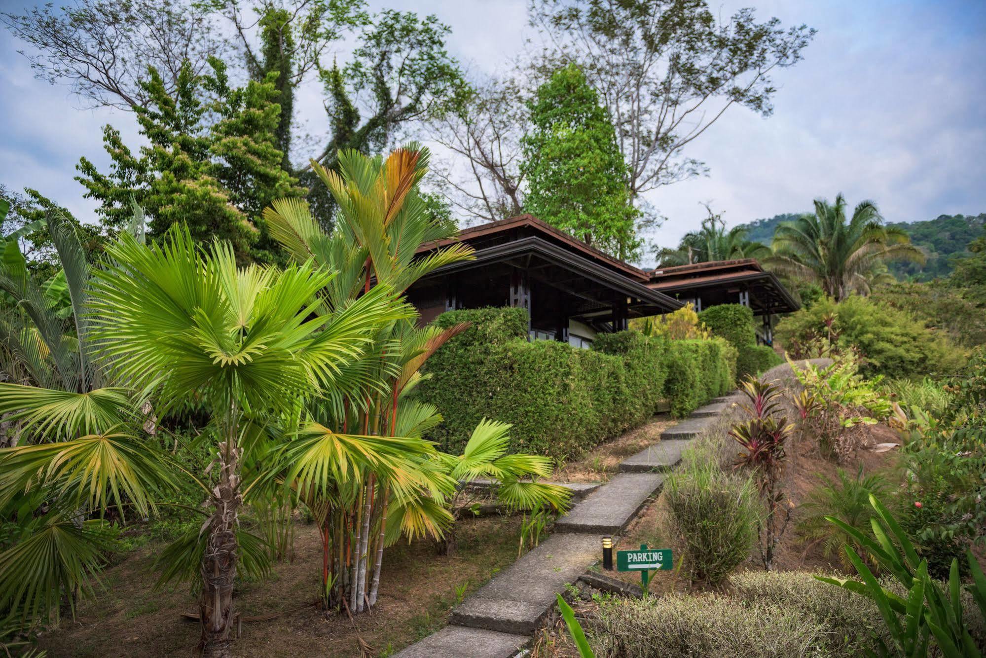 Tiki Villas Rainforest Lodge & Spa Uvita Exterior foto